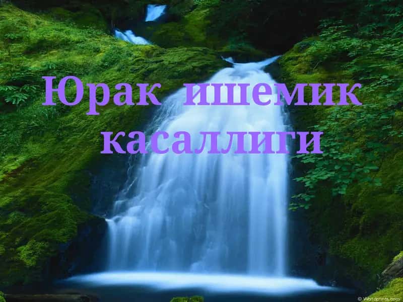 Юрак ишемик касаллиги (Ю.И.К) 1