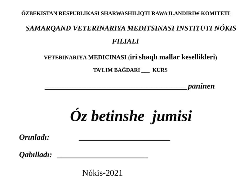 Nókis-2021 1