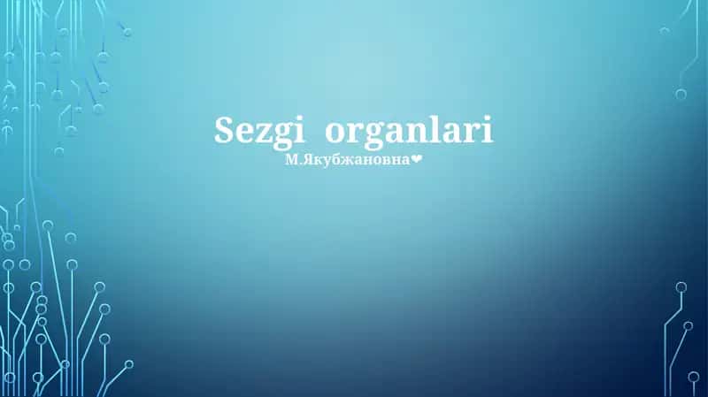 Sezgi organlari 1