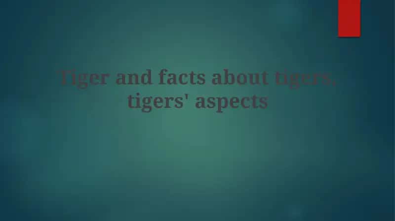 Facts about Tigers 1