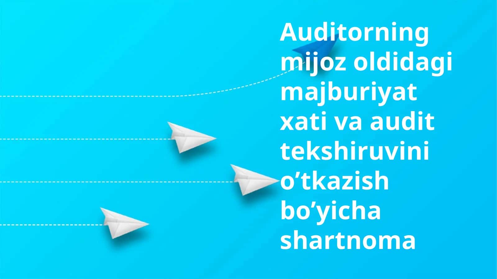 Auditorlik Tekshiruvi va Shartnomalari 1