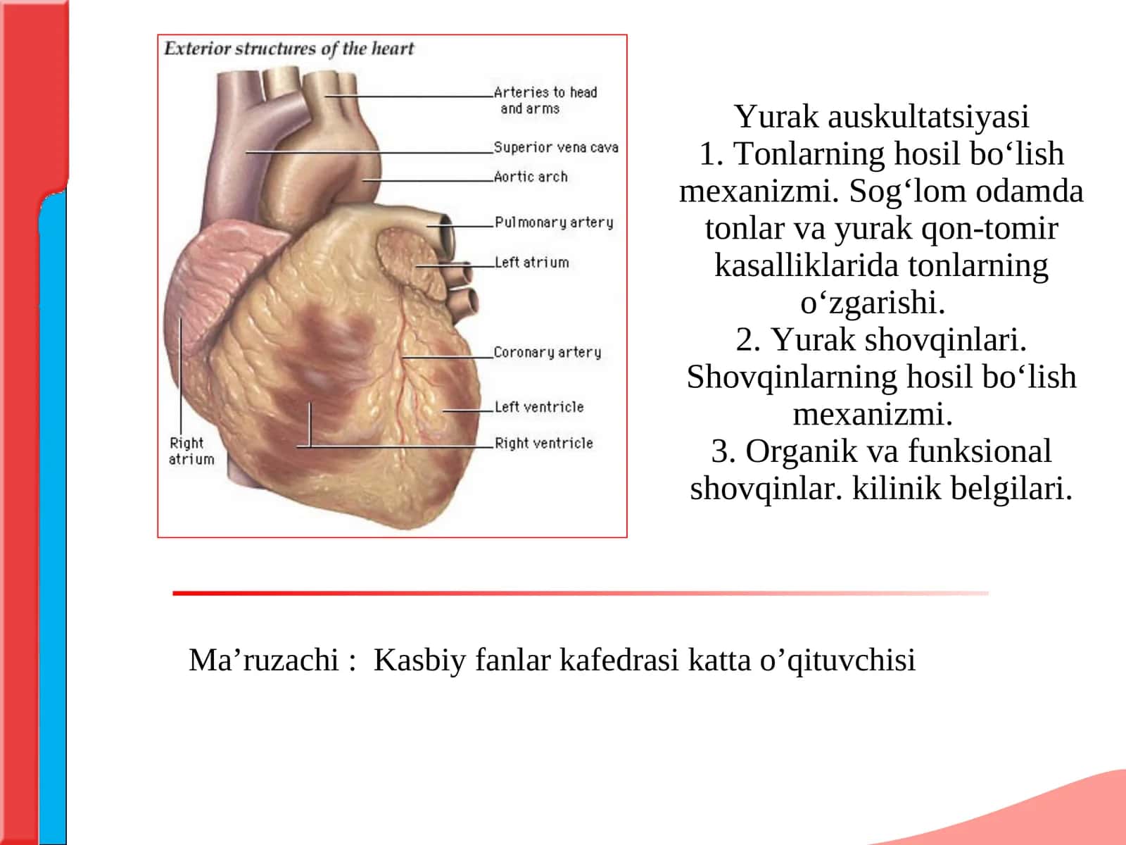 Yurak auskultatsiyasi 1