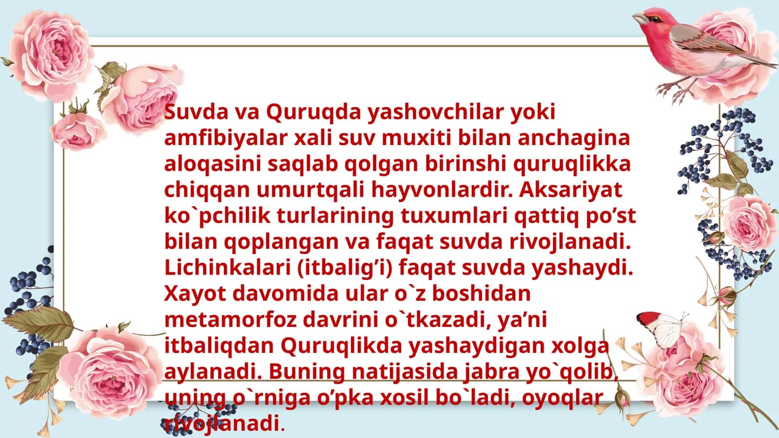 Umurtqali Hayvonlar 1