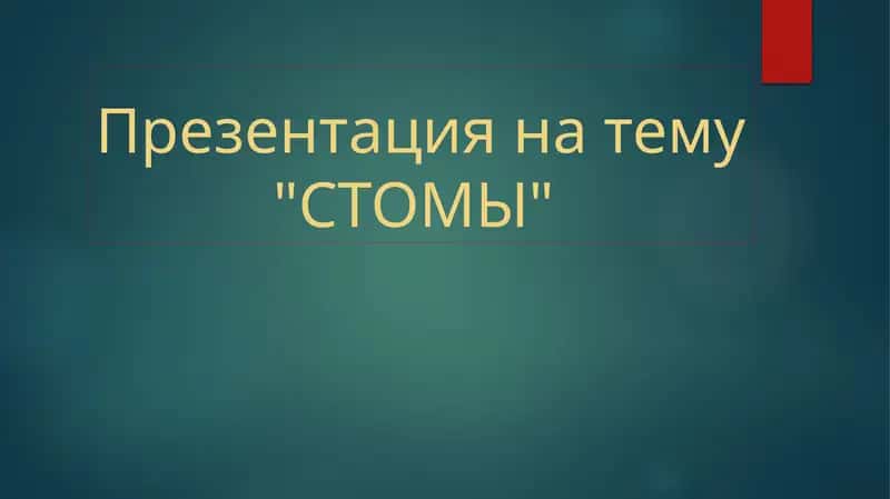 Презентация на тему"СТОМЫ" 1
