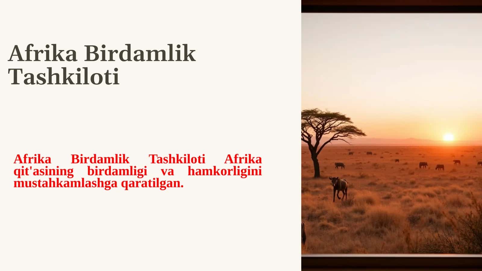 Afrika Birdamlik Tashkiloti 1