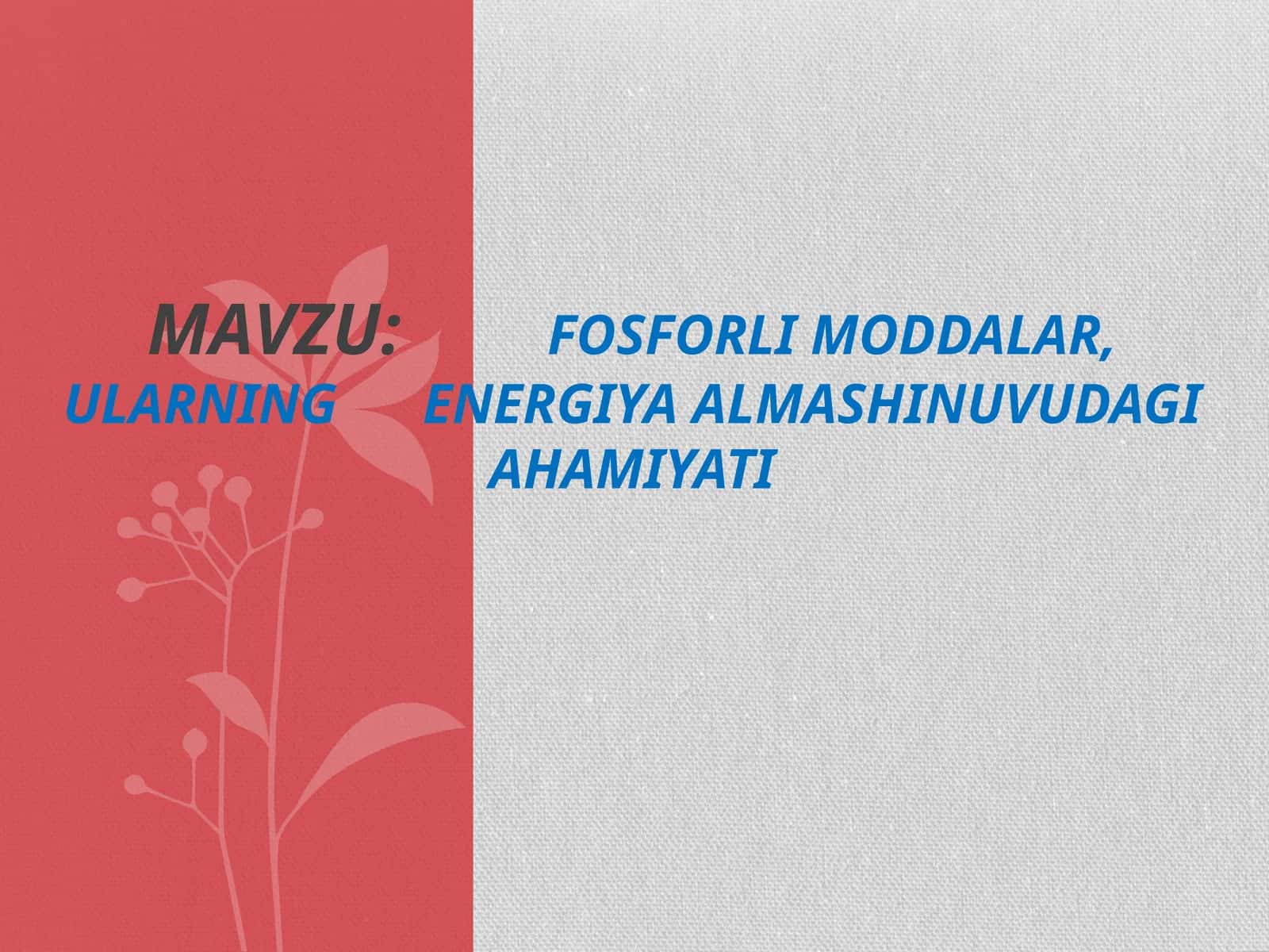 Fosforli moddalar, ularning energiya almashinuvidagi ahamiyati 1