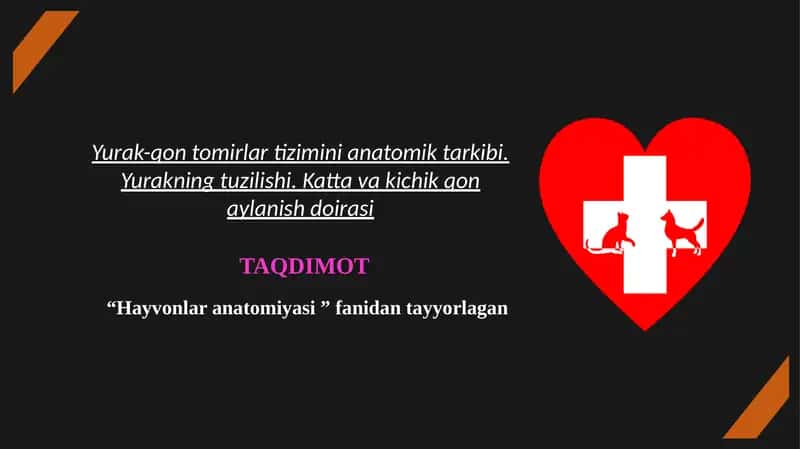 Yurak-qon tomirlar tizimini anatomik tarkibi. Yurakning tuzilishi. Katta va kichik qon aylanish doirasi 1