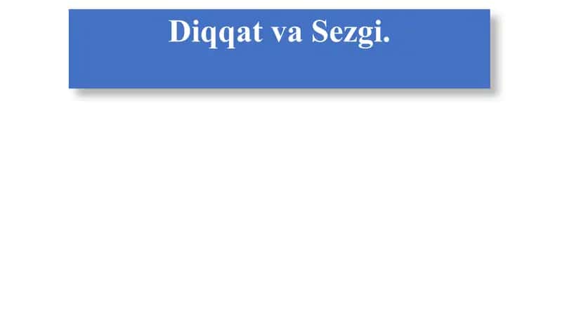 Diqqat va Sezgi 1