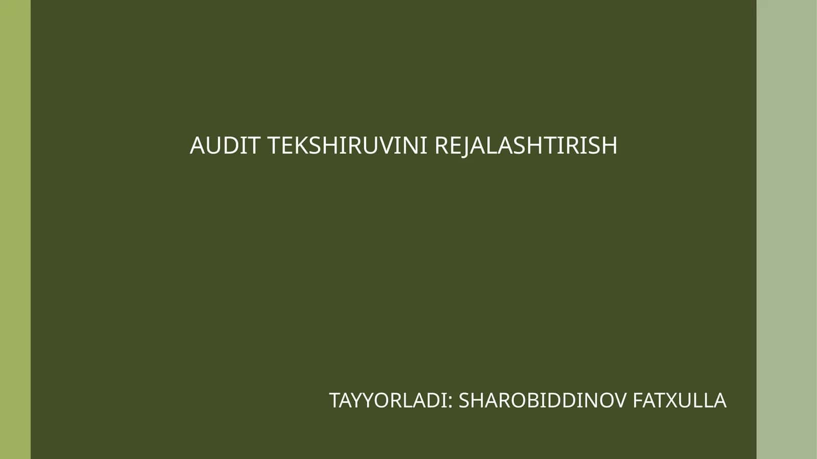 Audit Tekshiruvi Rejalashtirish 1