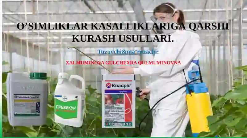 O'SIMLIKLAR KАSАLLIKLАRIGАQАRSHI KURАSH USULLАRI
