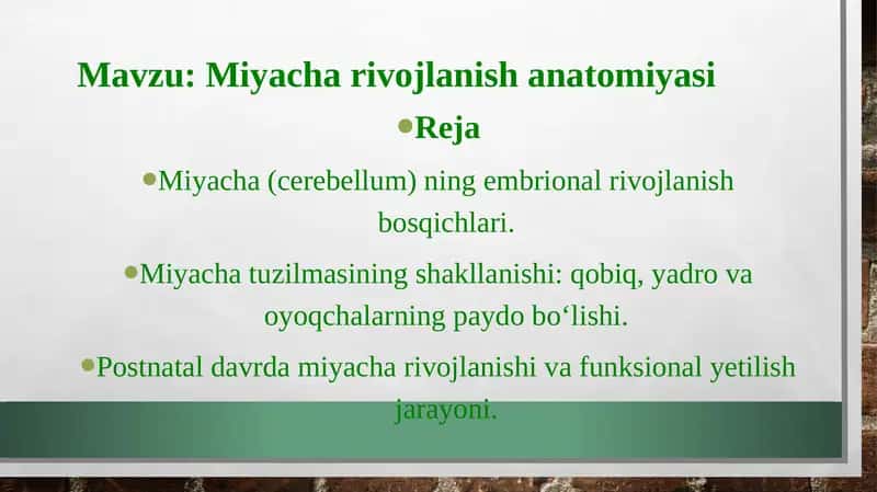 Miyacha rivojlanish anatomiyasi 1