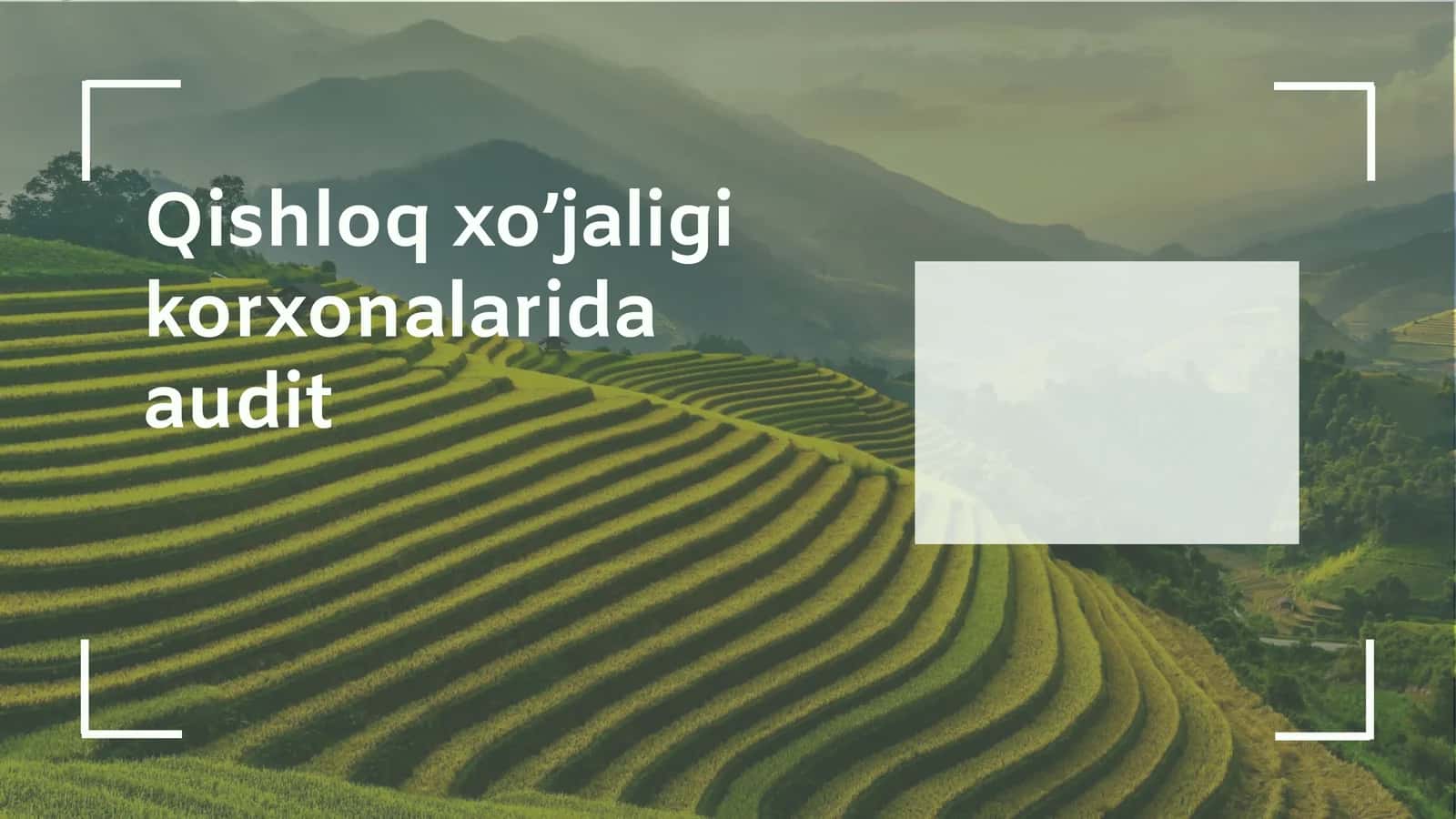 Qishloq xo’jaligi korxonalarida audit 1