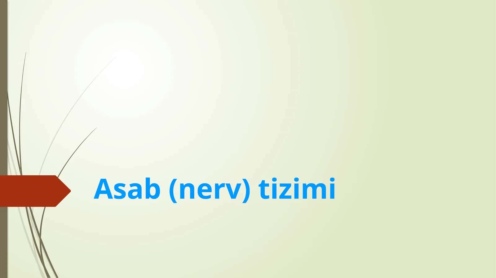 Asab(nerv)tizimi 1