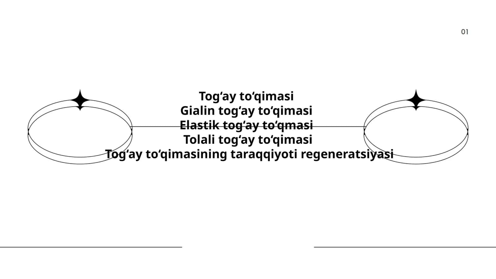 Tog‘ay to‘qimasi 1
