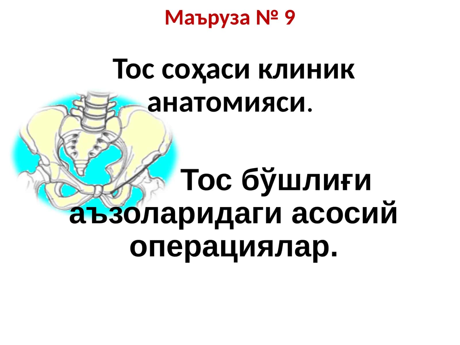 Тос соҳаси клиник анатомияси 1