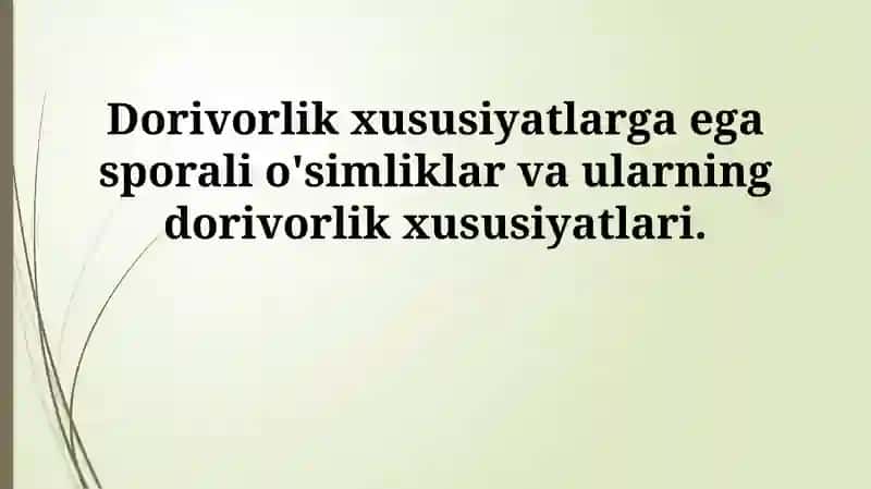 Sporali o'simliklar