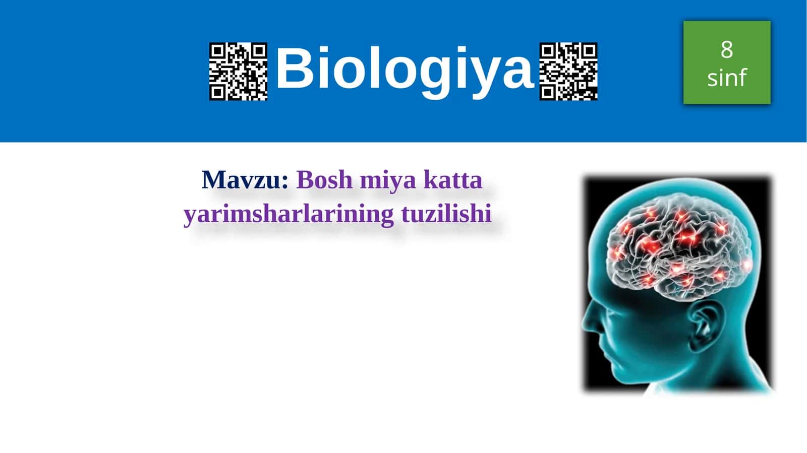 Boshmiya kattayarimsharlarining tuzilishi 1