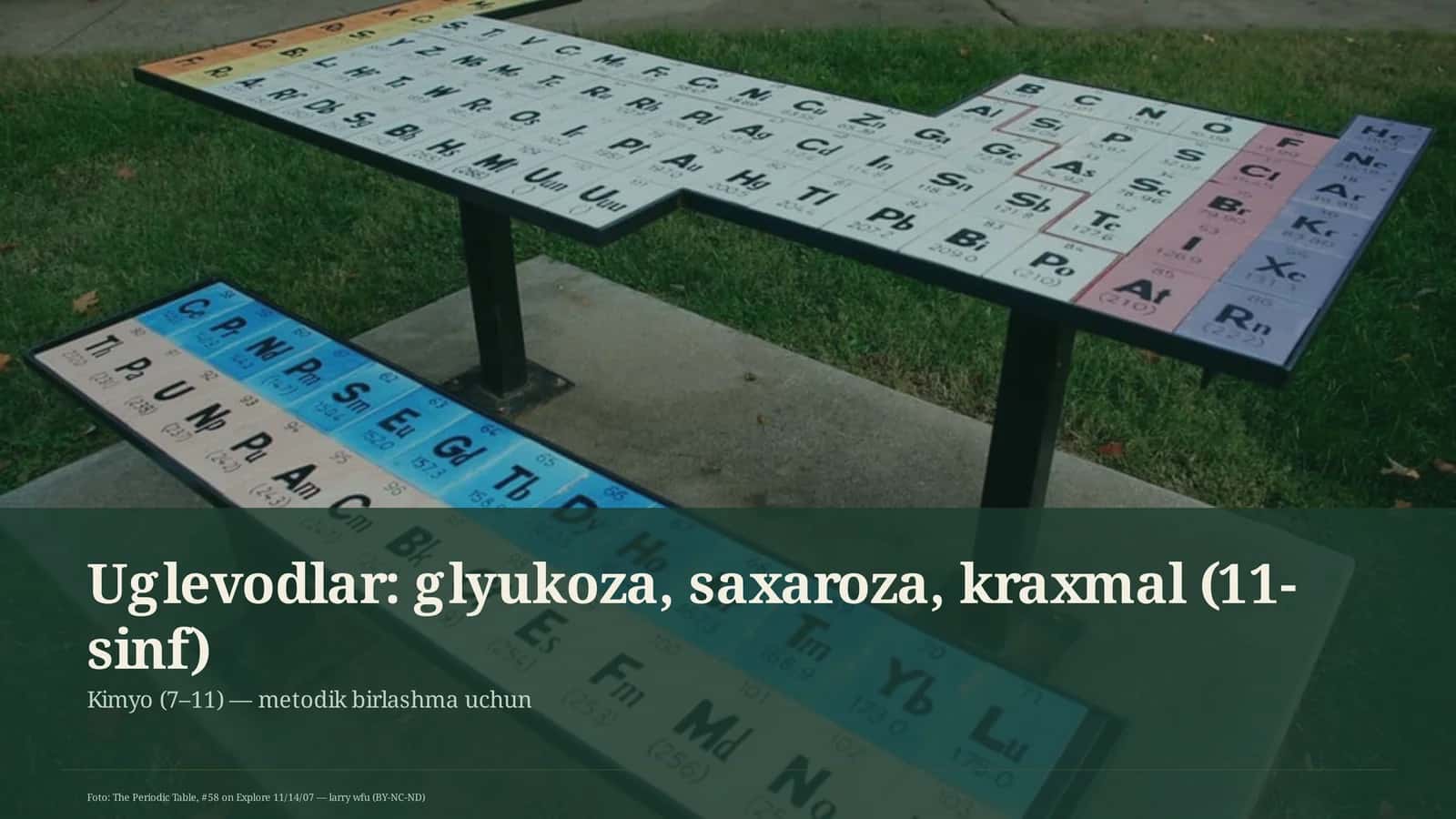Uglevodlar: glyukoza, saxaroza, kraxmal (11-sinf) 1