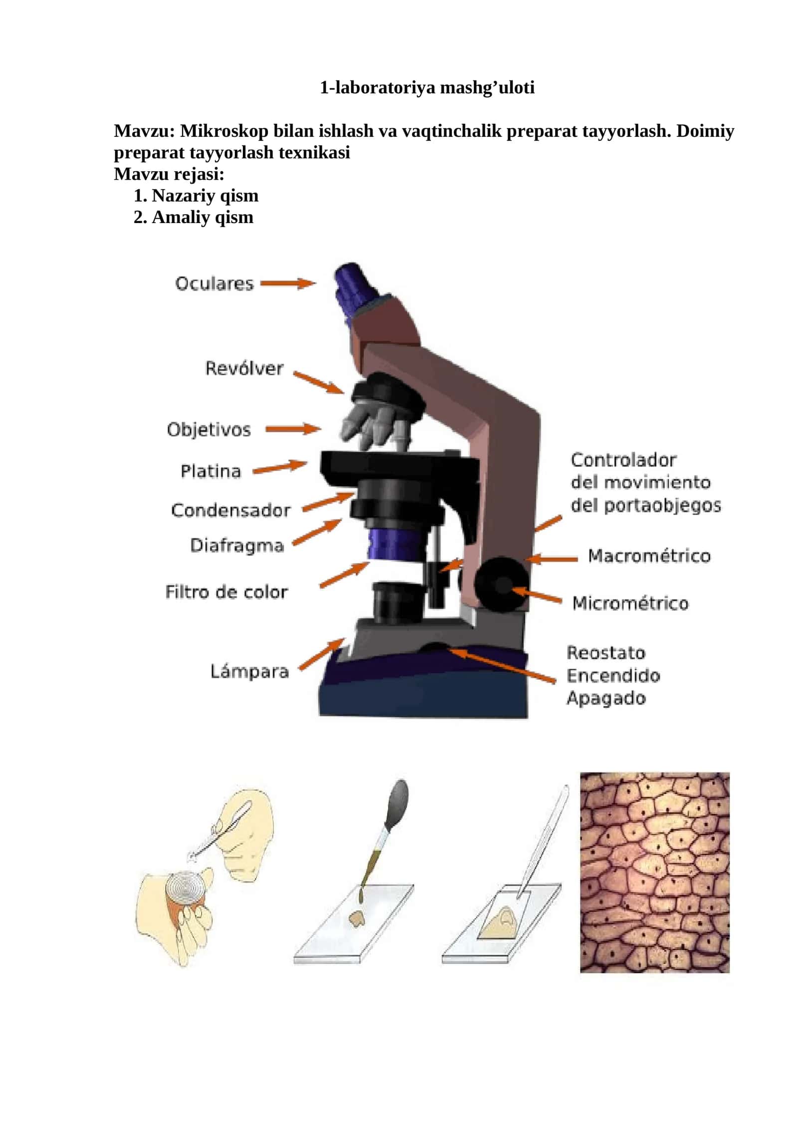 1-laboratoriya mashg’uloti 1