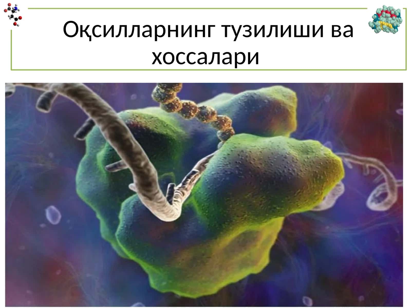 Oqsillarning tuzilishi 1