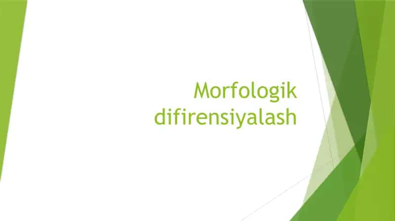 Morfologik difirensiyalash 1