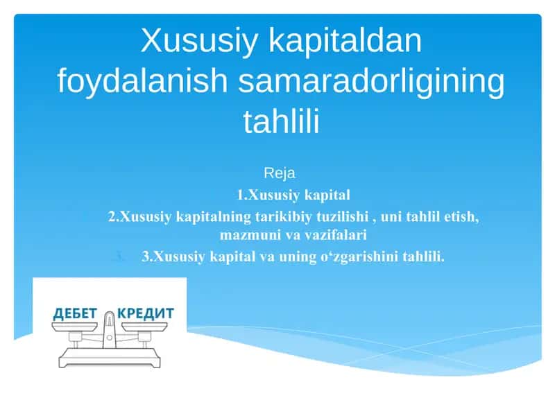 Xususiy kapitaldan foydalanish samaradorligining tahlili 1