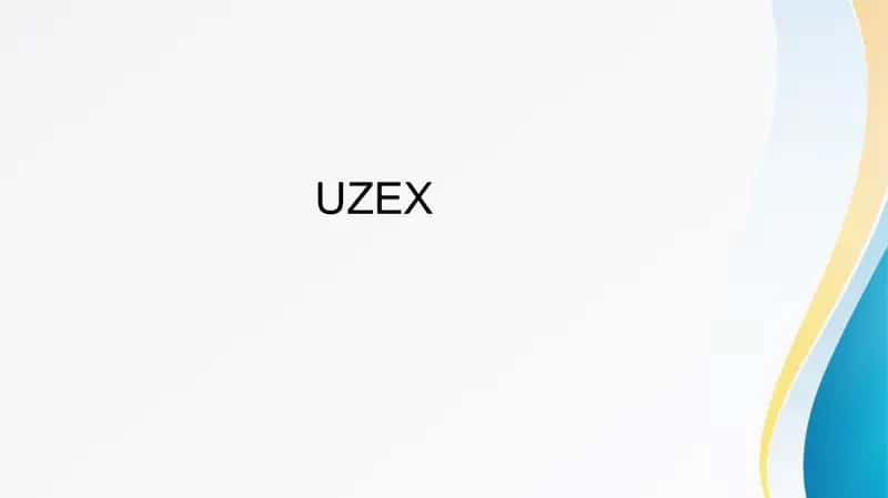UZEX  Korporativ boshqaruv 1