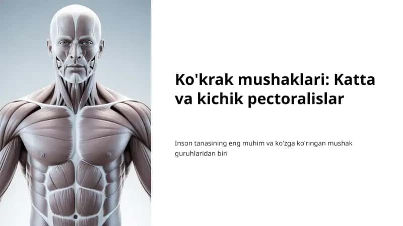 Ko'krak mushaklari: Katta va kichik pectoralislar 1