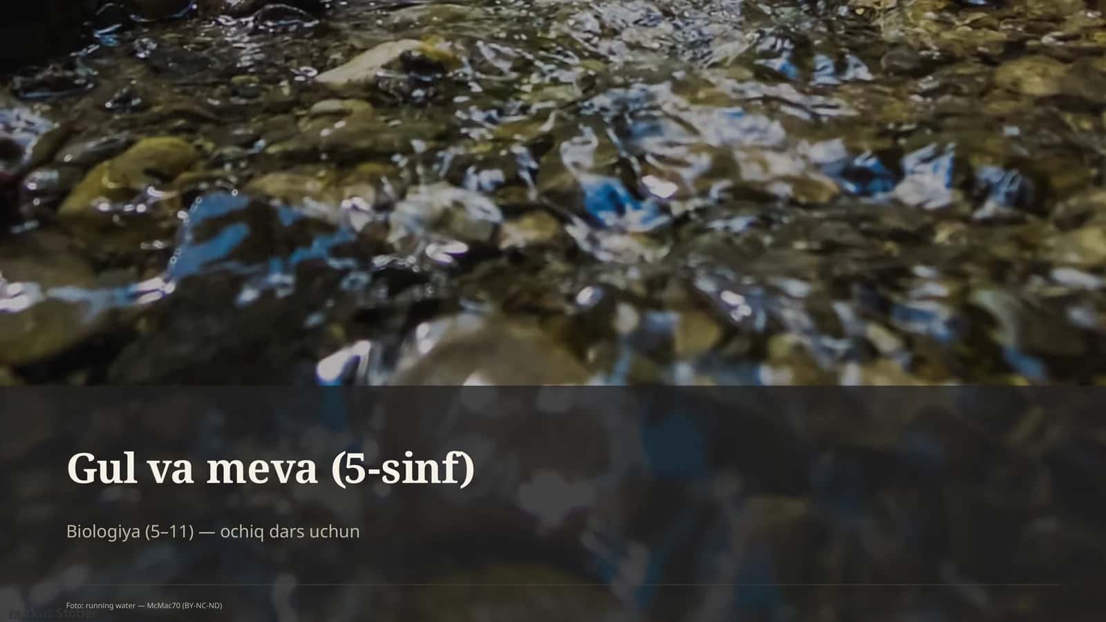 Gul va meva (5-sinf) 1
