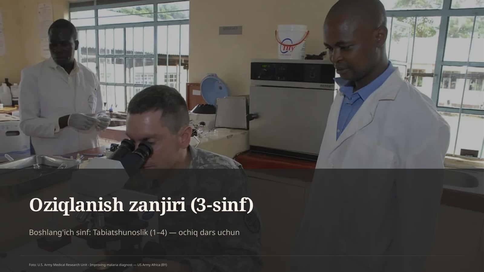 Oziqlanish zanjiri (3-sinf) 1