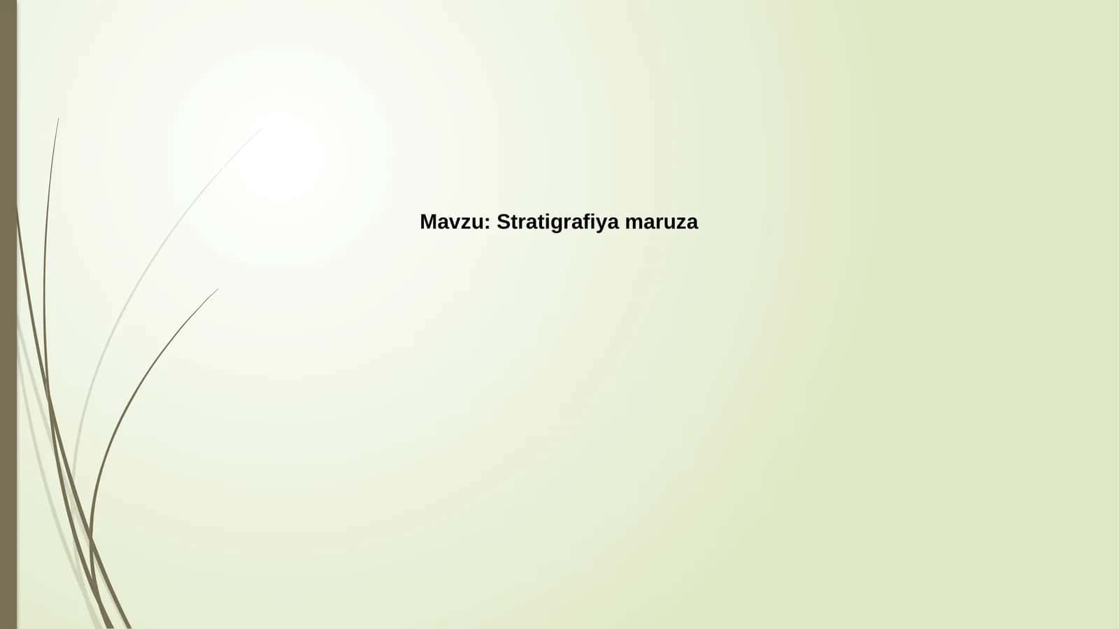 Stratigrafiya 1