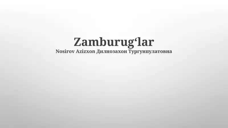 Zamburug'lar Qirolligi 1