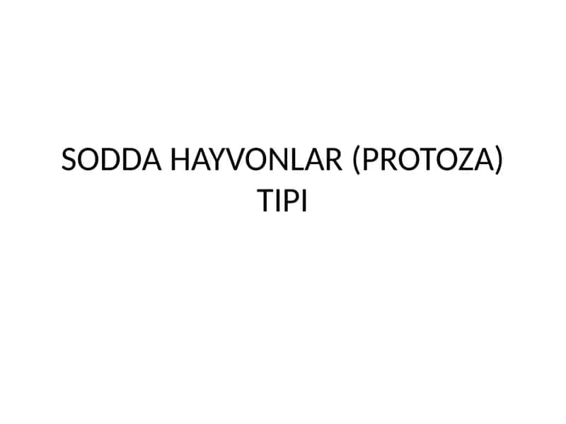 SODDA HAYVONLAR (PROTOZA) TIPI 1