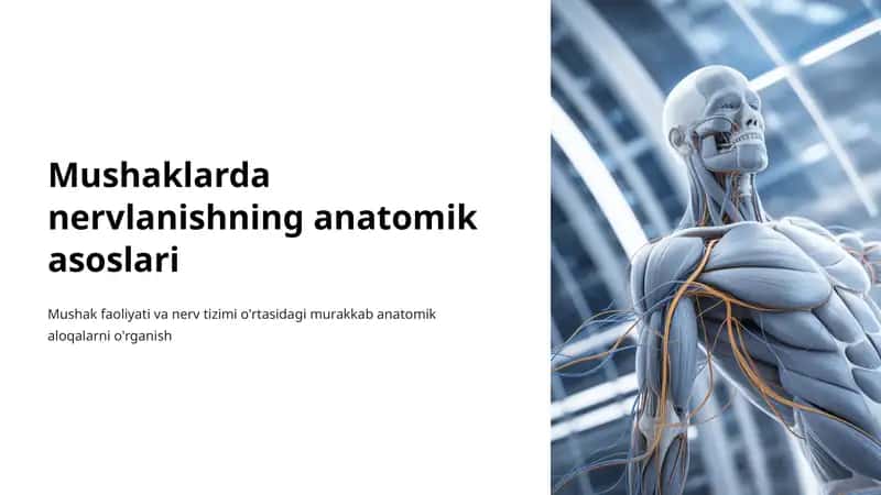 Mushaklarda nervlanishning anatomik asoslari 1