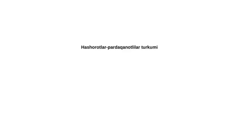 Hymenoptera Hashorotlar 1
