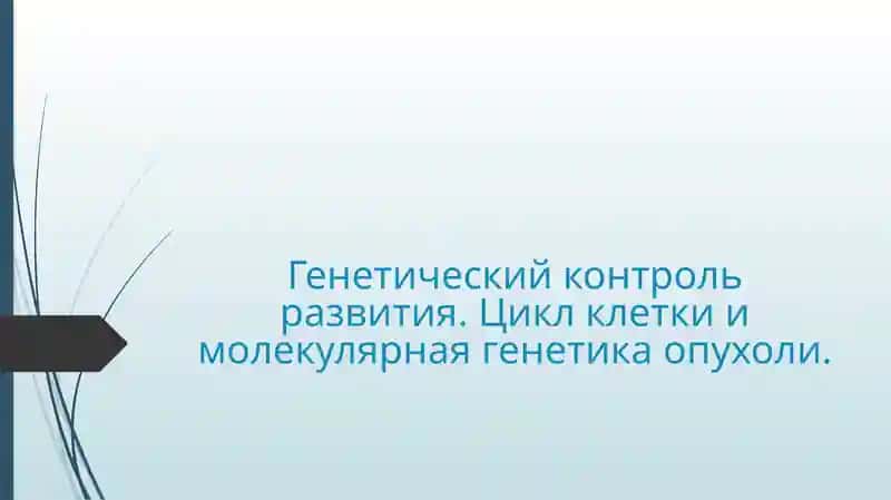 Генетический контроль развития