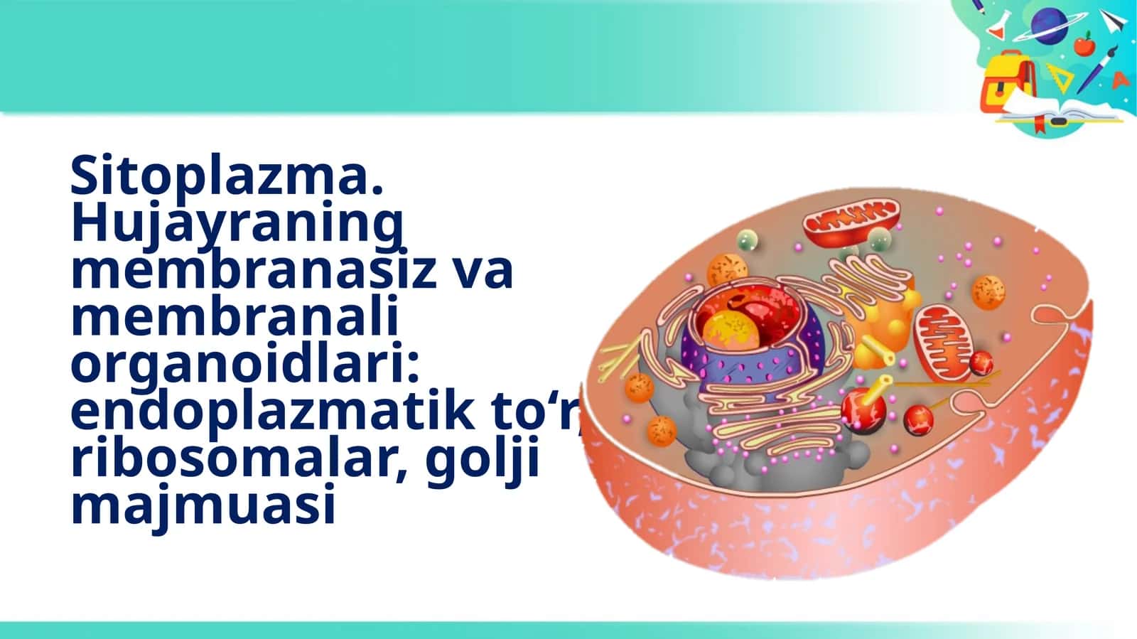 Sitoplazma 1
