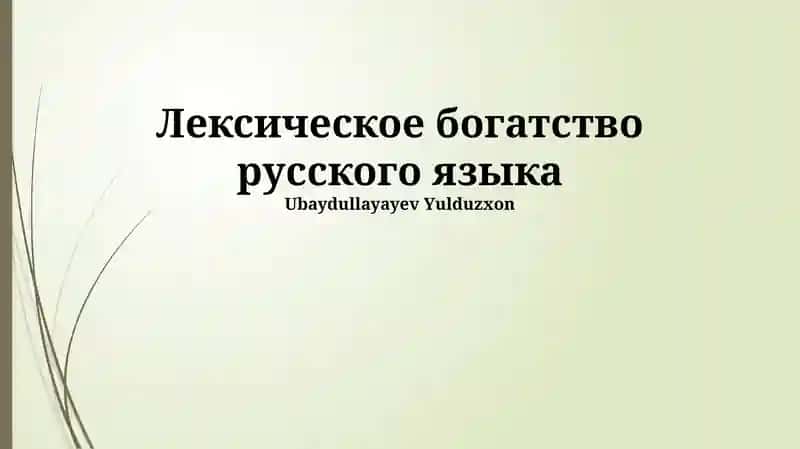Лексическое богатство русского языка
