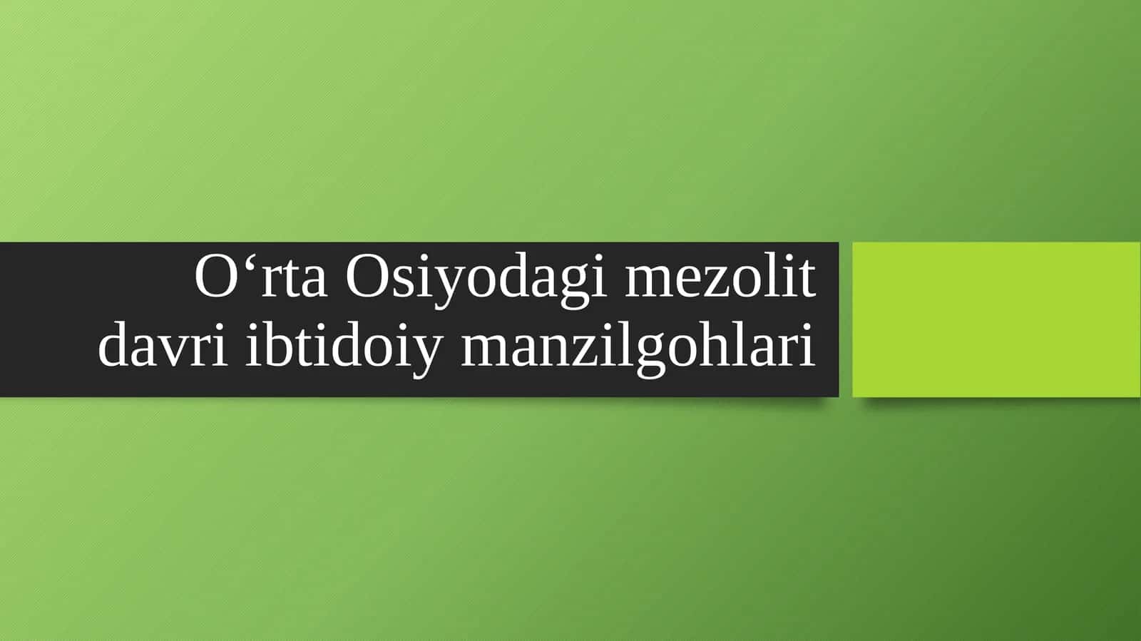 O‘rta Osiyodagi mezolit davri ibtidoiy manzilgohlari 1