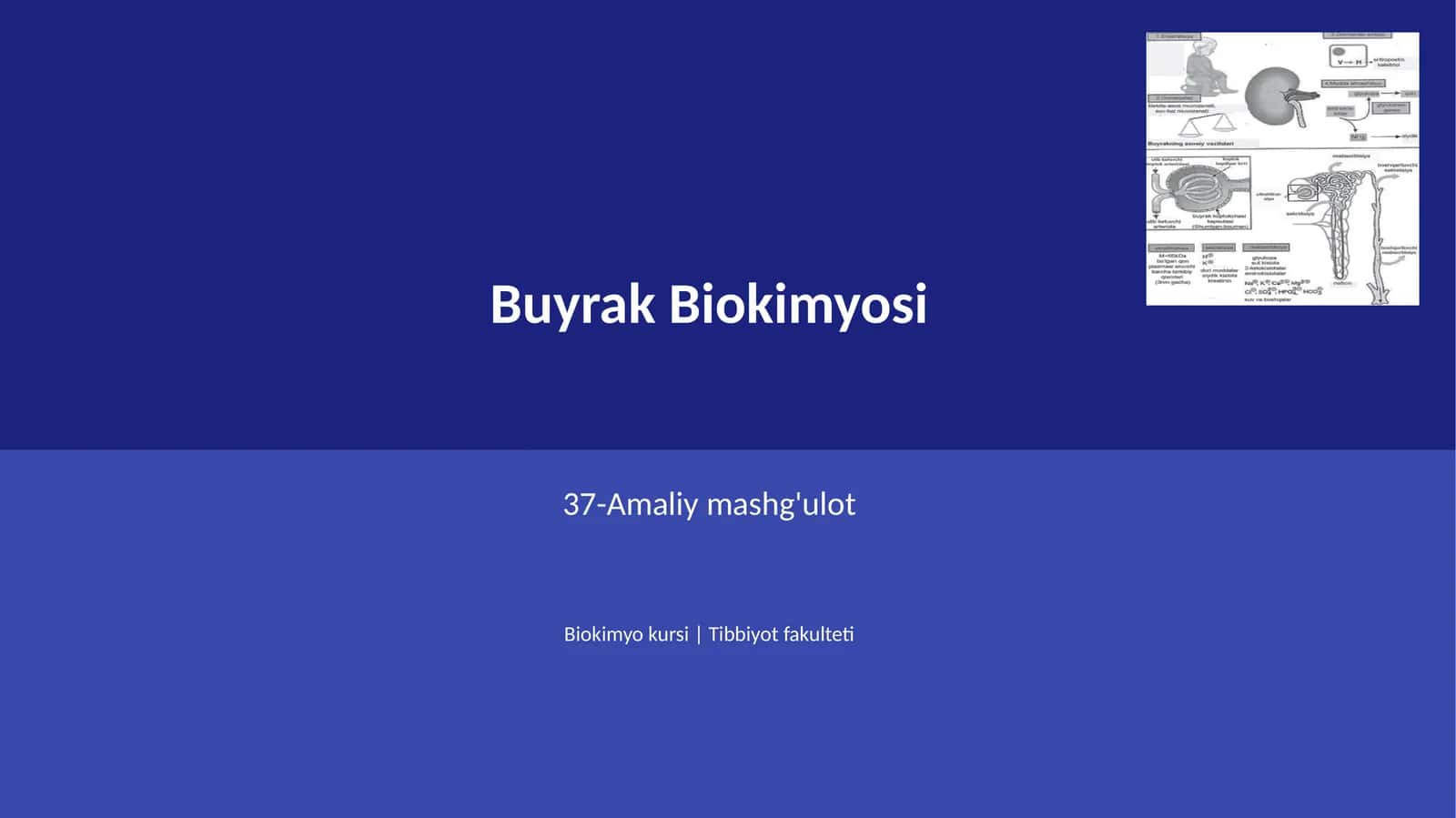 Buyrak Biokimyosi 1