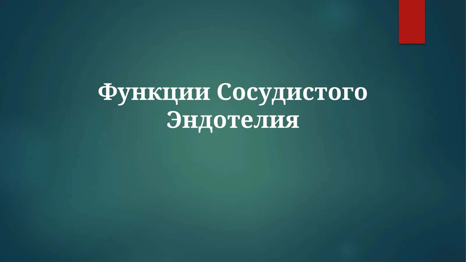 Функции Сосудистого Эндотелия 1