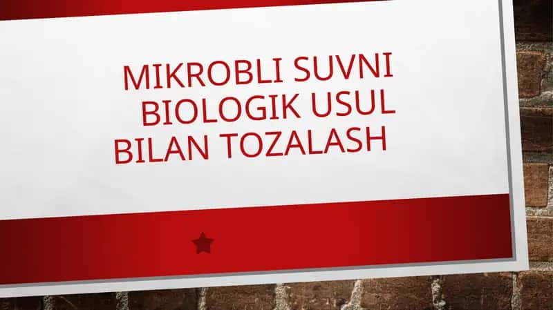 Mikrobli Suvni biologik usul bilan tozalash 1