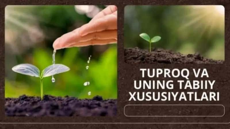 Tuproq va uning tabiiy xususiyatlari 1