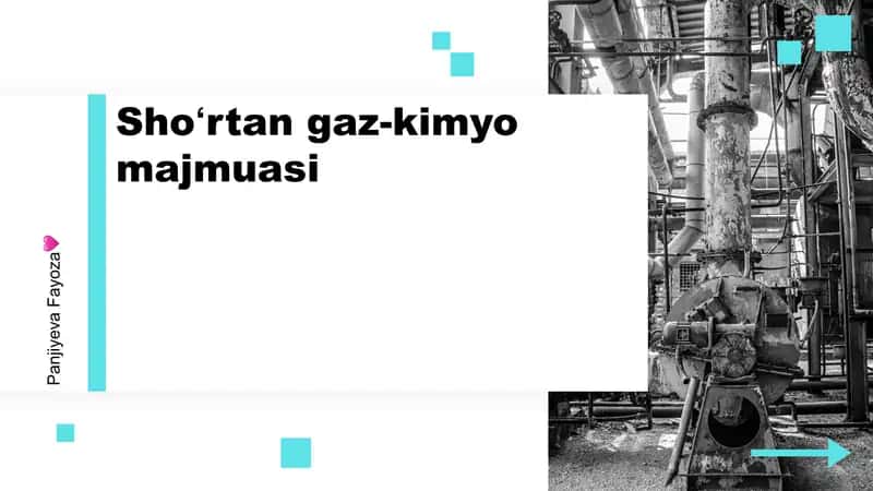 Shoʻrtan gaz-kimyo majmuasi 1