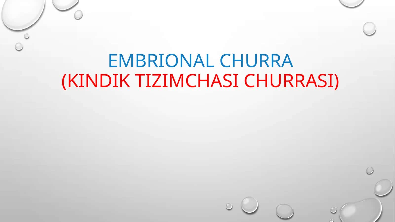 EMBRIONAL CHURRA(KINDIK TIZIMCHASI CHURRASI) 1