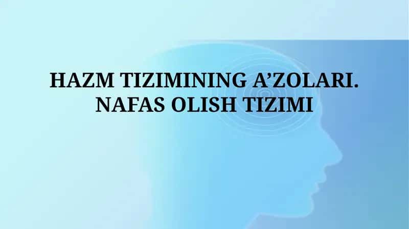 Hazm tizimining a'zolari 1