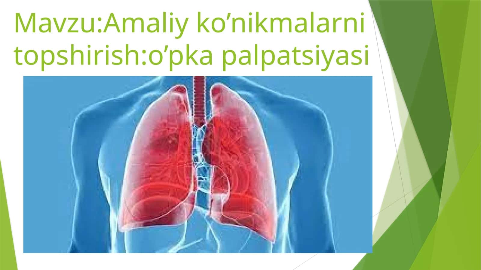 o’pka palpatsiyasi 1