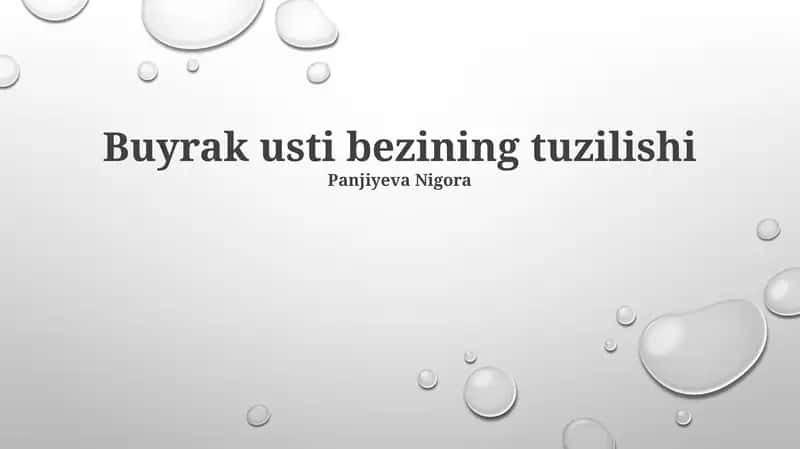Buyrak usti bezining tuzilishi 1