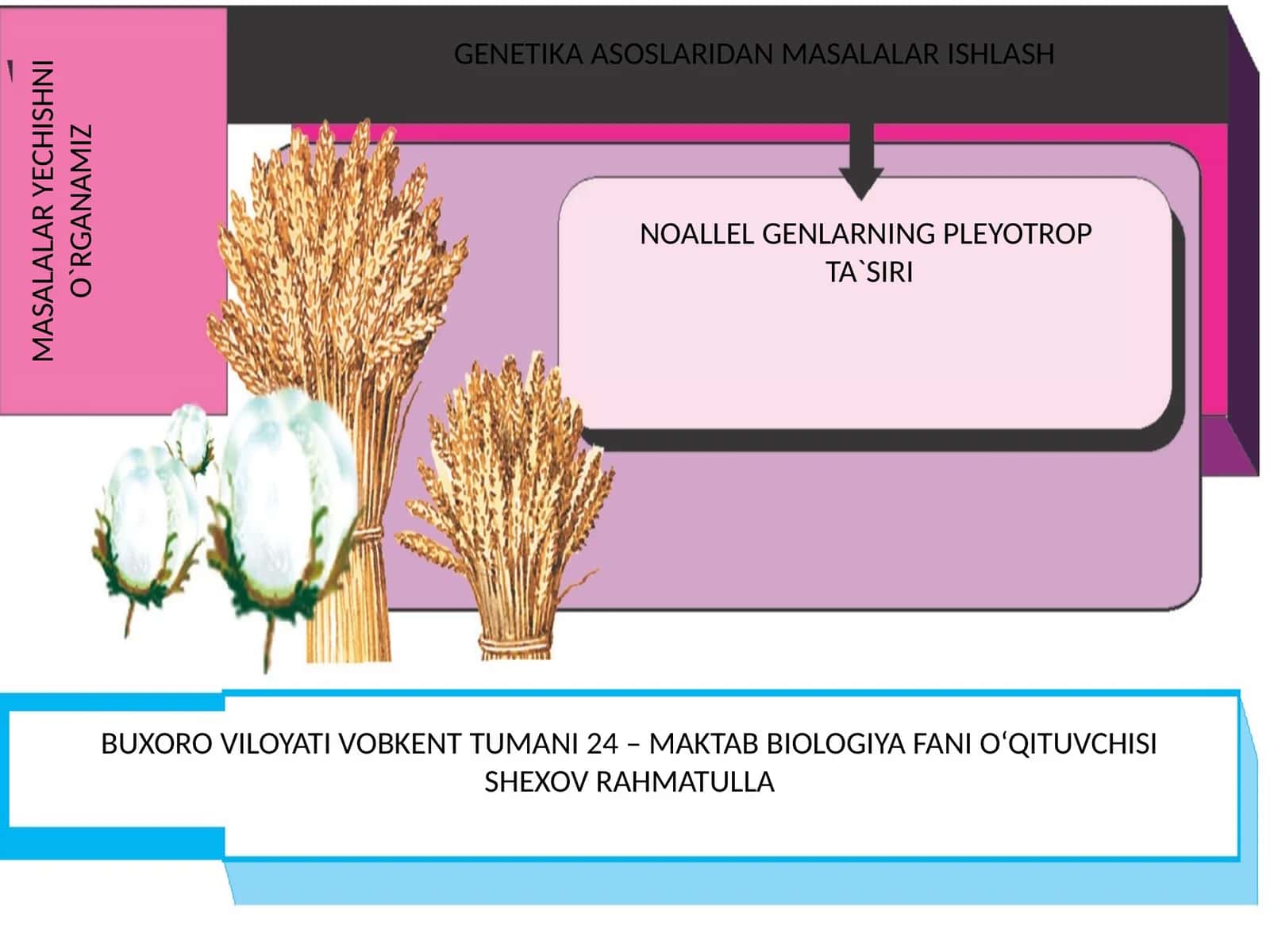 NOALLEL GENLARNING PLEYOTROP TA'SIRI 1