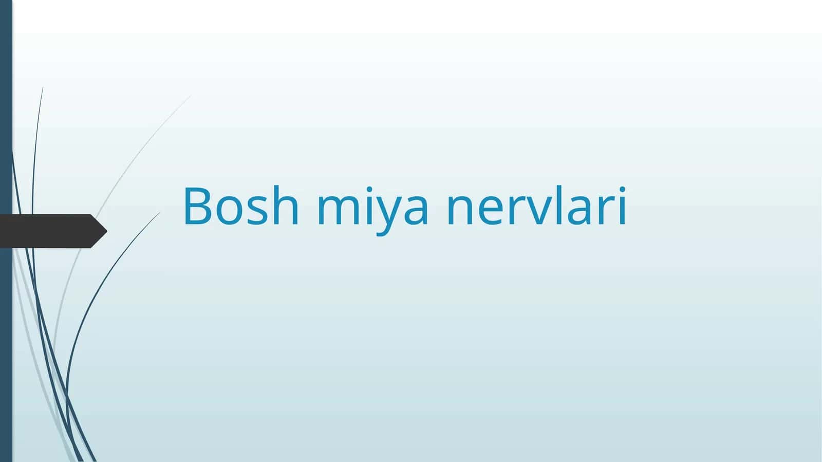 Boshmiyanervlari 1